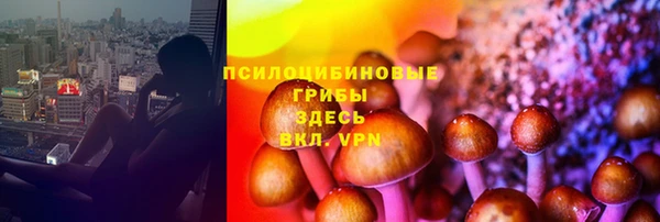 тгк Няндома