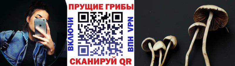 Псилоцибиновые грибы GOLDEN TEACHER  OMG как войти  маркетплейс какой сайт  Ульяновск 
